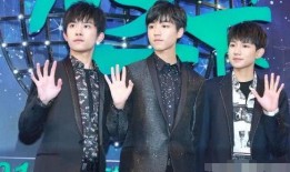 tf央视节目爆料最新视频,深度解析视频内容背后的真相