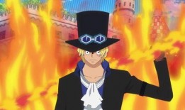 航海王萨博爆料视频合集,揭秘海贼王世界背后的真相与冒险